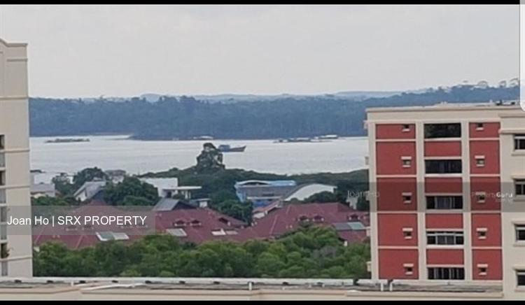 Pasir Ris Street 53 thumbnail photo